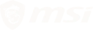 MSI